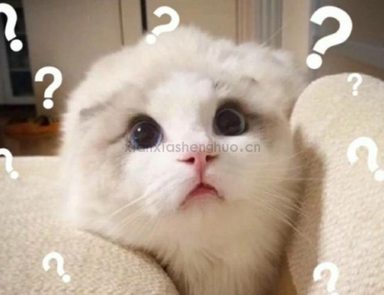 呼吸机：为呼吸困难者带来的福音，那么什么是呼吸机呢？